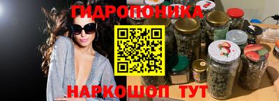 spice Будённовск