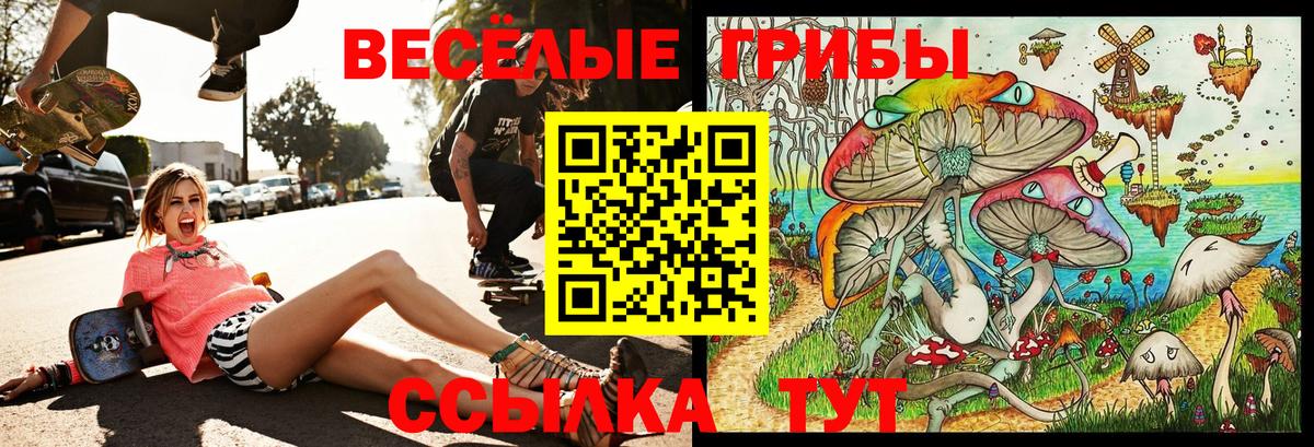 Галлюциногенные грибы Magic Shrooms Кунгур