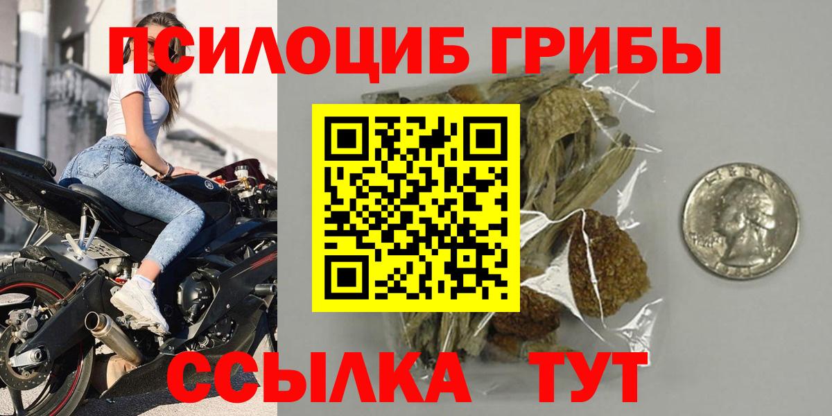 Псилоцибиновые грибы Psilocybe  Псилоцибиновые грибы Psilocybine cubensis  Кунгур  Вход с VPN 